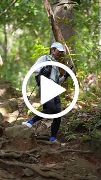 BIB:  <button type="button" onclick="openModal(27579764)" class="btn btn-primary btn-sm float-right" data-toggle="modal" data-target=".modal-high-quality">
                <i class="fa fa-download"></i> Download
                </button>